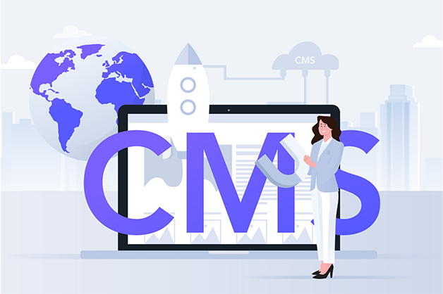 какво е CMS