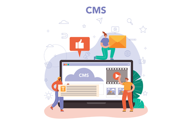Types of CMS Platforms and Their Applications in Ecommerce