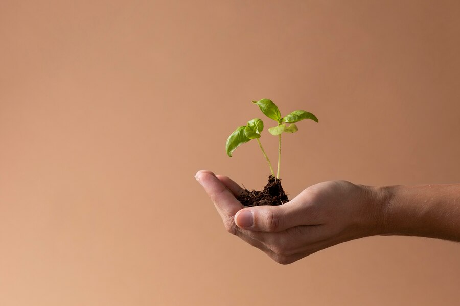 person holding soil in their palm with a plant growing out of it