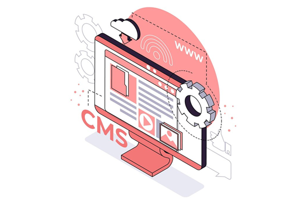 Types of CMS for Ecommerce – Know the Difference and Use It 