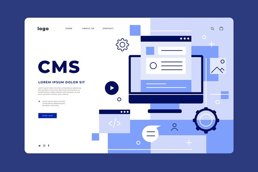 a vector graphic of a CMS sample layout